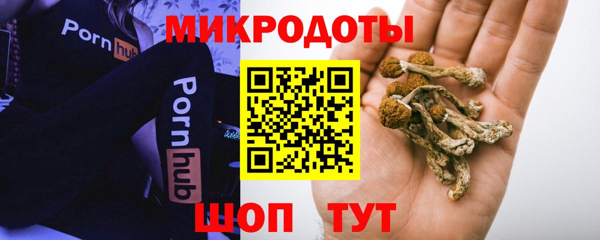Псилоцибиновые грибы мухоморы Александров